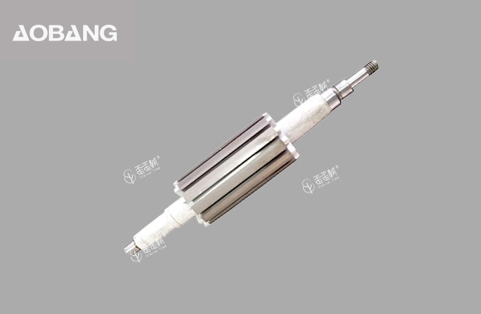 电动工具转子Power Tool Rotor2
